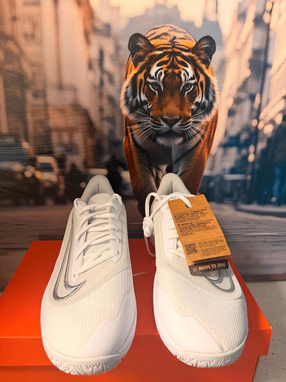 Nike Men’s White Athletic Shoes with Silver Swoosh